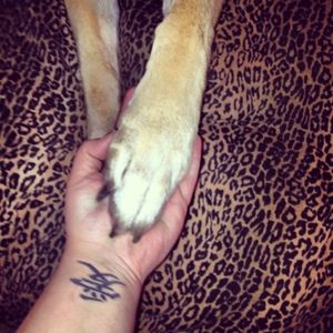 Meet your Posher, Kate